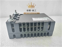 DS200TBQCG1AAA通用电气PLC模块