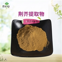 批发 荆芥提取物荆芥粉