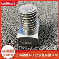 哈威PE 15/PE 6柱塞副德国HAWE泵配件pe系列供应进口