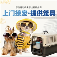 2026宠物托运广西百色右江宠物托运邮寄空调轿车