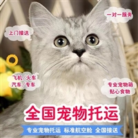 安徽亳州利辛宠物托运