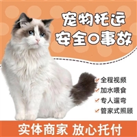 2026宠物托运开封通许宠物猫托运宠物托运运输