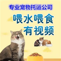 2026宠物托运广西梧州蒙山宠物狗狗托运宠物活体运输