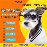 2026宠物托运咸阳淳化猫咪宠物托运宠物托运运输费用