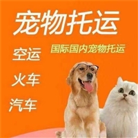 2026宠物托运广西玉林容县宠物狗狗托运专车托运宠物