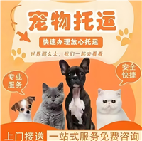 2026宠物托运河南焦作温县宠物狗狗托运飞机托运宠物