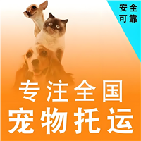 2026宠物托运河北保定安国宠物托运托运活体狗