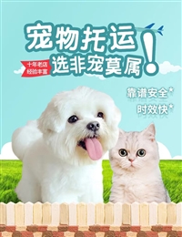 2026宠物托运四川自贡大安宠物托运托运活体狗