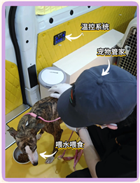 2026宠物托运安徽合肥长丰宠物出国托运宠物火车托运