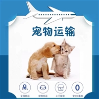 2026宠物托运安徽六安霍邱宠物狗狗托运宠物狗托运