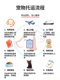 2026宠物托运南充营山宠物猫咪托运航空宠物运输