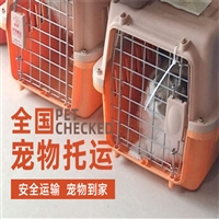 2026宠物托运陕西延安洛川宠物托运汽车带宠物托运