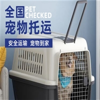 广东广州天河宠物托运