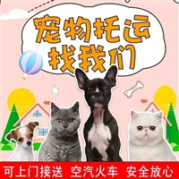 2026宠物托运贵阳小河宠物托运物流宠物飞机托运