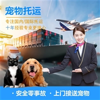 2026宠物托运芜湖芜湖正规宠物托运宠物托运费用