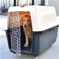 2026宠物托运定西渭源宠物狗狗托运宠物活体运输