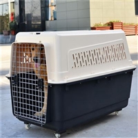 2026宠物托运阿坝茂县宠物托运物流火车托运