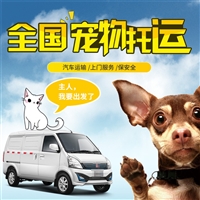 2026宠物托运北京丰台猫咪宠物托运宠物单独托运