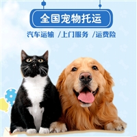 天津津南宠物出国托运