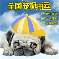 2026宠物托运马鞍山雨山宠物托运物流托运活体狗