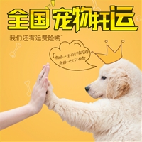 2026宠物托运杭州下城宠物托运邮寄宠物托运公司