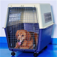 湖北十堰竹溪宠物猫咪托运