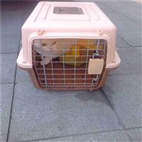 2026宠物托运郴州汝城宠物猫咪托运宠物活体运输