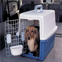 2026宠物托运周口淮阳宠物托运邮寄托运活体狗