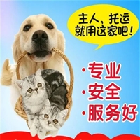 2026宠物托运山西长治壶关宠物猫托运托运活体狗
