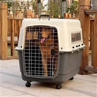 2026宠物托运承德滦平宠物狗狗托运托运活体狗