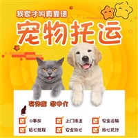 2026宠物托运宜宾兴文宠物猫咪托运宠物飞机托运