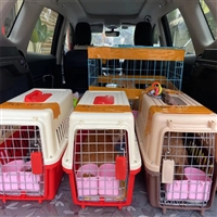 2026宠物托运福建福州闽侯宠物托运物流宠物托运费用