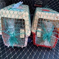 2026宠物托运桂林临桂猫咪宠物托运托运活体狗