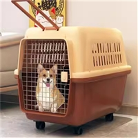 河南漯河郾城宠物托运宠物狗托运8