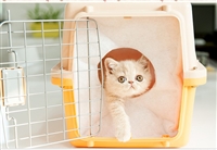 2026宠物托运临汾蒲县宠物托运宠物托运费用