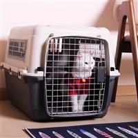 2026宠物托运上饶婺源正规宠物托运空调轿车