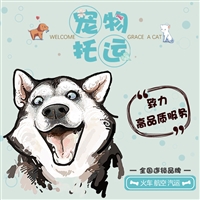 浙江嘉兴桐乡宠物托运物流