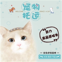 2026宠物托运山西晋中和顺宠物猫托运航空宠物运输