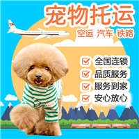 2026宠物托运深圳福田猫咪宠物托运航空托运宠物