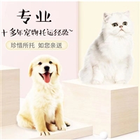 2026宠物托运临汾翼城猫咪宠物托运宠物飞机托运