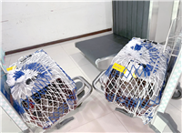 2026宠物托运广西河池南丹宠物猫咪托运专车托运宠物