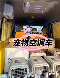 2026宠物托运山西临汾蒲县宠物托运宠物托运费用