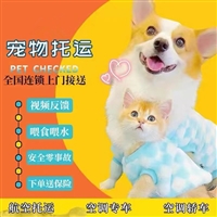 2026宠物托运宁波江东宠物出国托运宠物单独托运