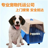 2026宠物托运甘肃永靖宠物猫咪托运飞机托运宠物