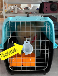 2026宠物托运安徽蚌埠怀远宠物托运飞机托运宠物