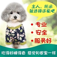 云南玉溪华宁正规宠物托运