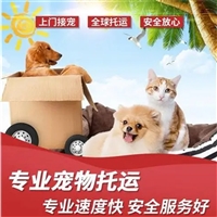 2026宠物托运北海合浦宠物托运宠物狗托运