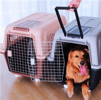 2026宠物托运湖北孝感大悟宠物出国托运飞机托运宠物