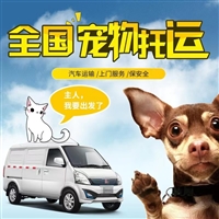 2026宠物托运玉林陆川宠物猫咪托运宠物活体运输