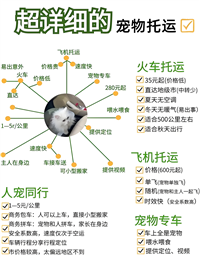 2026宠物托运郑州二七正规宠物托运宠物火车托运